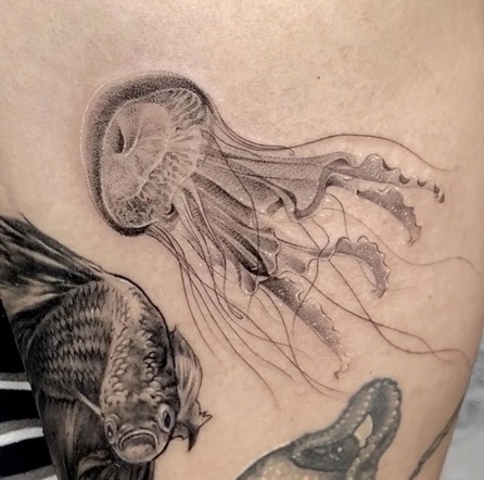 Fine Line Jelly Fish
